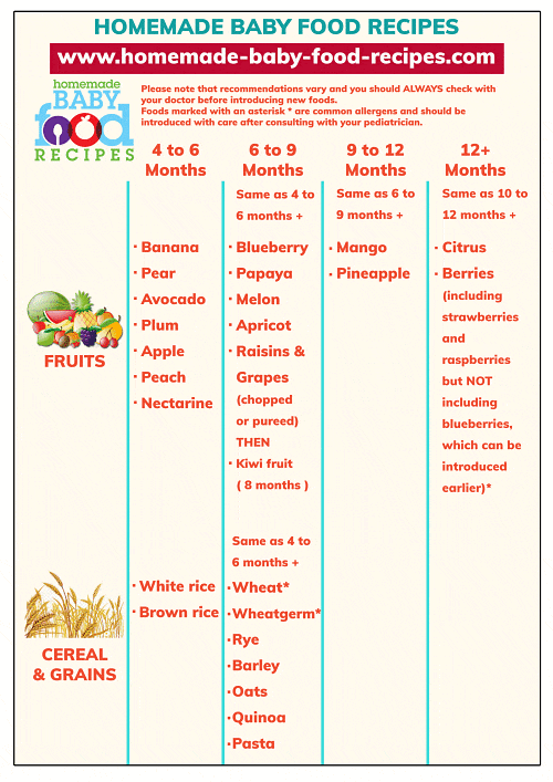 8 month baby food list