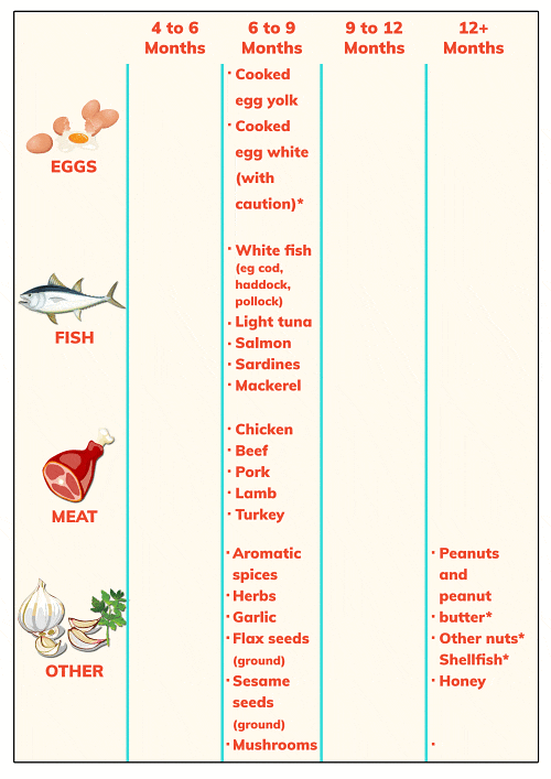 8 to 9 month baby food chart