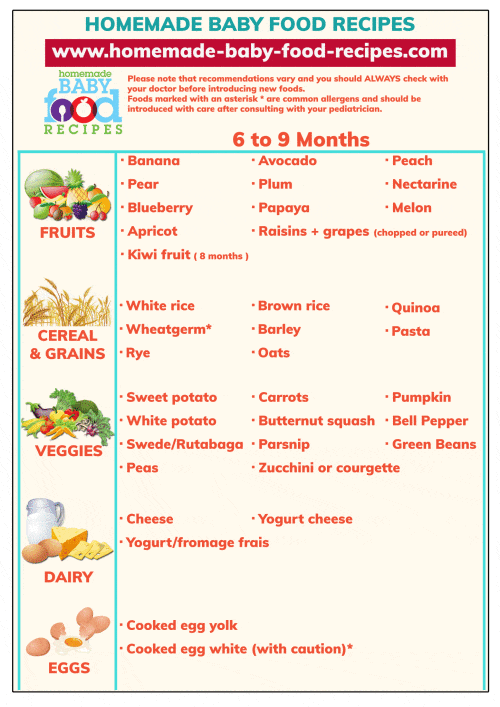 8 to 9 month baby food chart