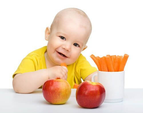 Making Baby Food For Your 10-12 Month Baby